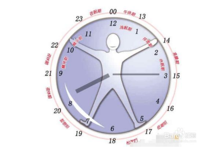 人的正常睡眠是多少個(gè)小時(shí) 科學(xué)的睡眠時(shí)間表